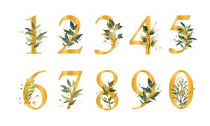 اعداد     Numbers