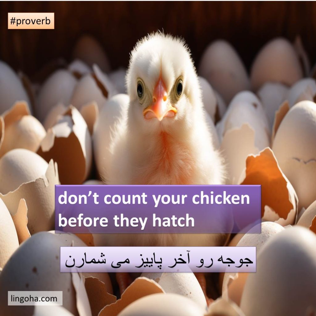 جوجه رو آخر پاییز میشمارن به انگلیسی
