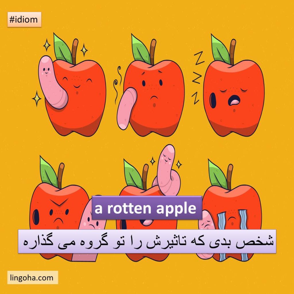 a rotten apple