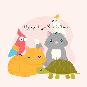 اصطلاحات انگلیسی با نام حیوانات