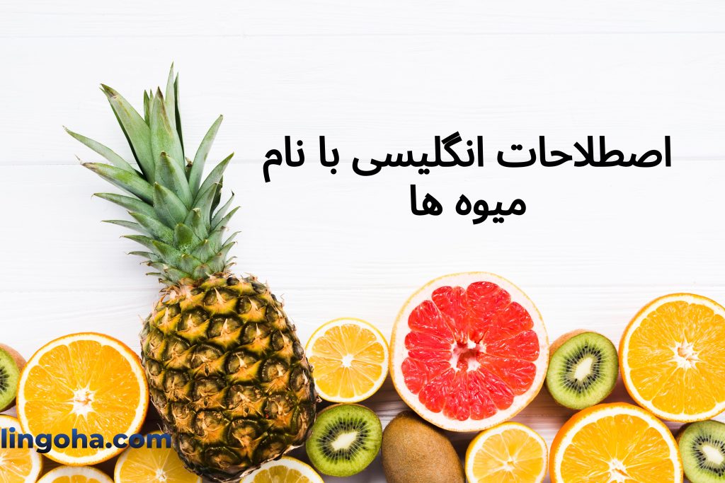 اصطلاحات انگلیسی با نام میوه ها